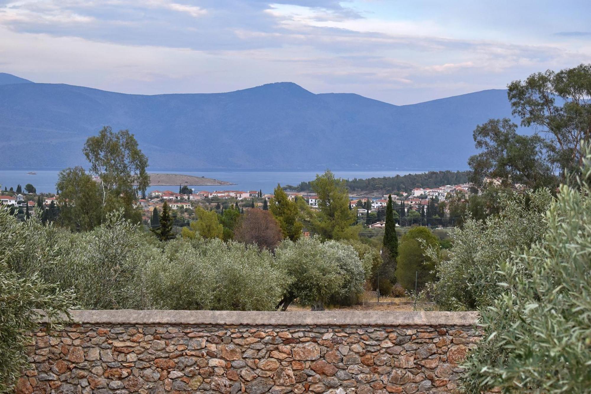Villa In The Olive Trees Galaxídhion エクステリア 写真