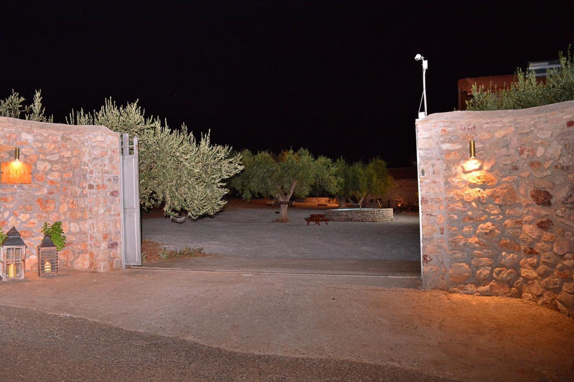 Villa In The Olive Trees Galaxídhion エクステリア 写真